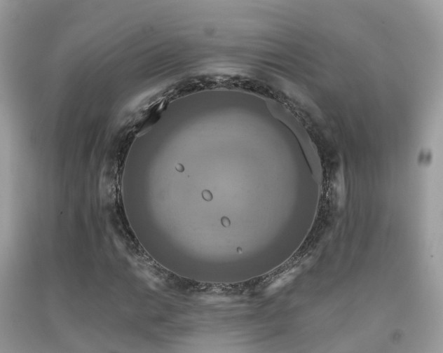 X0000091941014200709051518