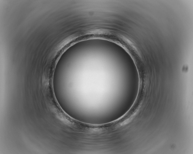 X0000091941017200709051518