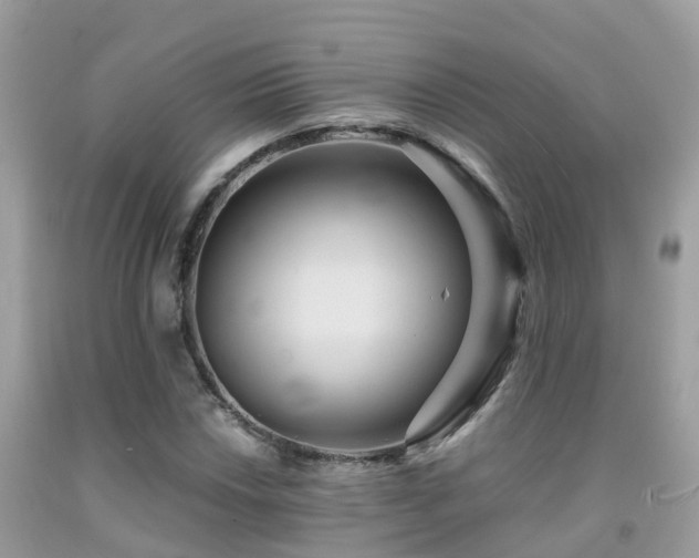 X0000091941018200709051518