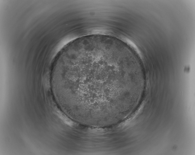 X0000091941019200709051518