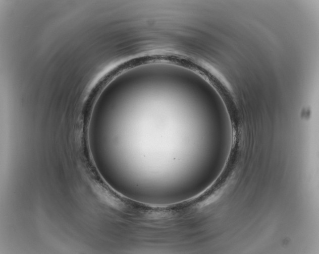 X0000091941021200709051518