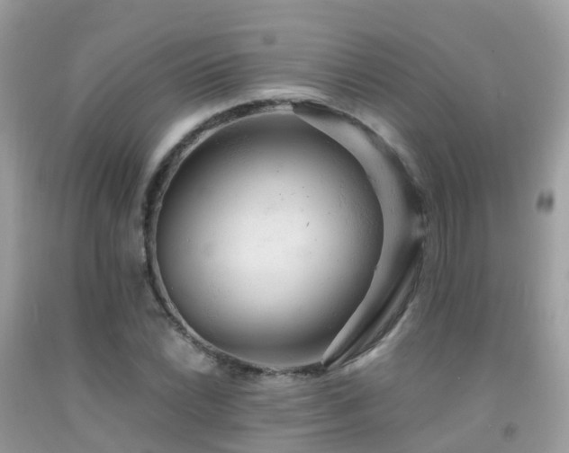 X0000091941022200709051518