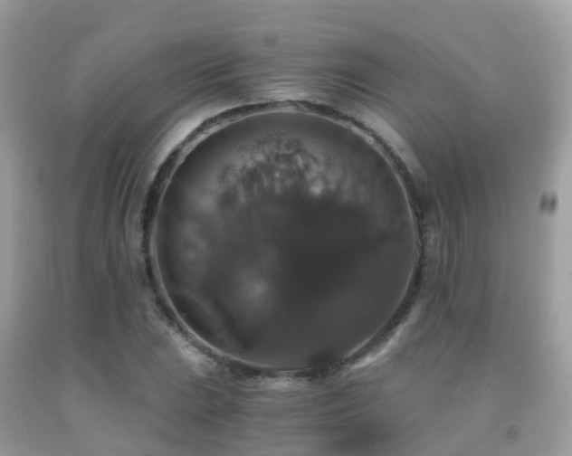 X0000091941023200709051518