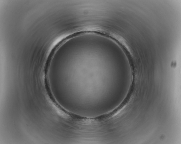 X0000091941024200709051518