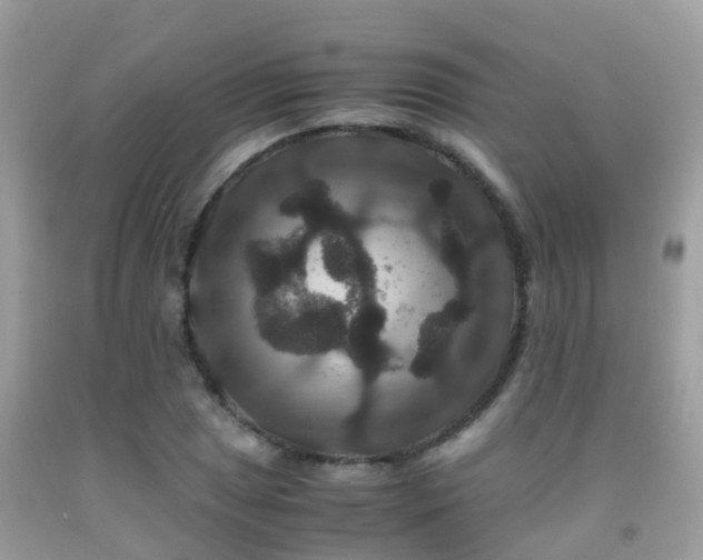 X0000091941025200709051518