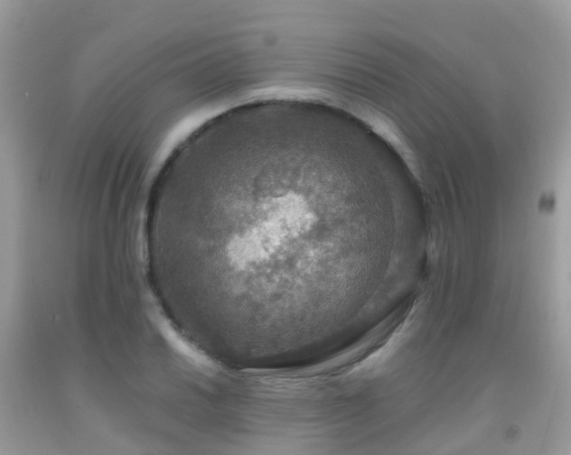 X0000091941030200709051518