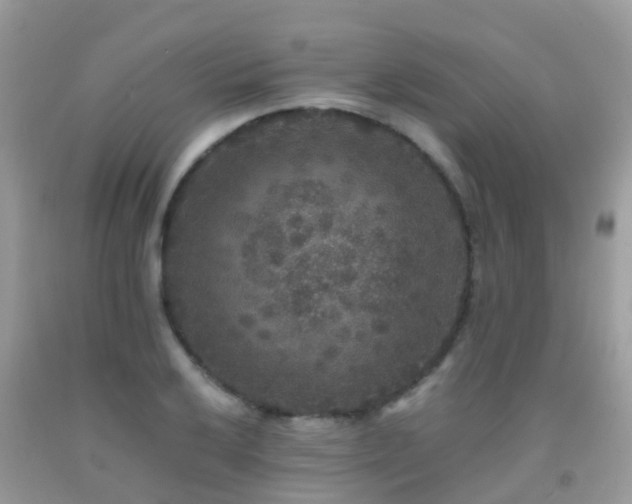 X0000091941032200709051518