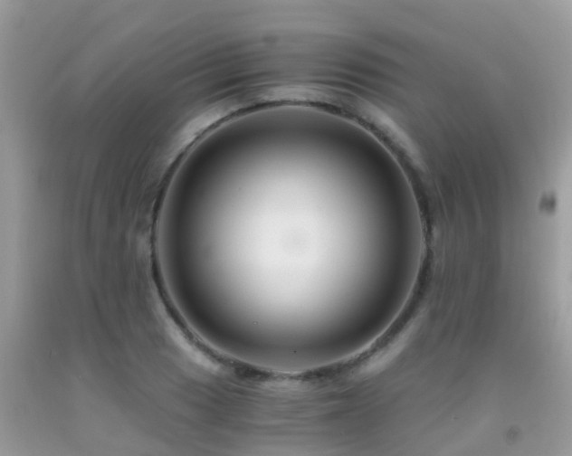 X0000091941033200709051518