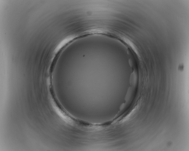 X0000091941034200709051518