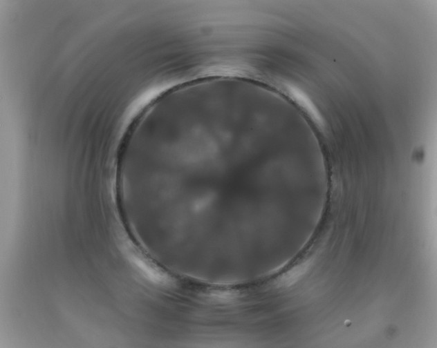 X0000091941035200709051518