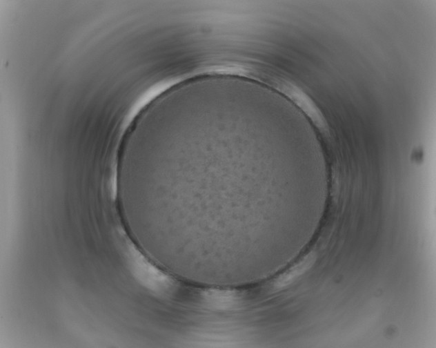 X0000091941036200709051518