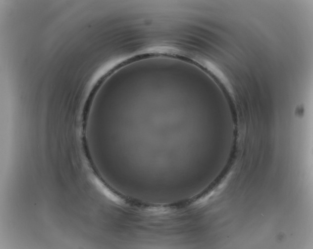 X0000091941037200709051518