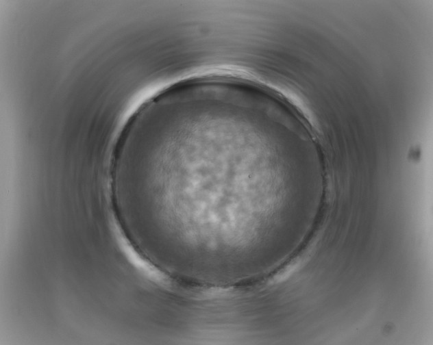 X0000091941038200709051518