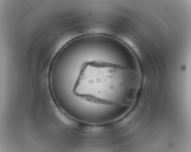 X0000091941039200709051518