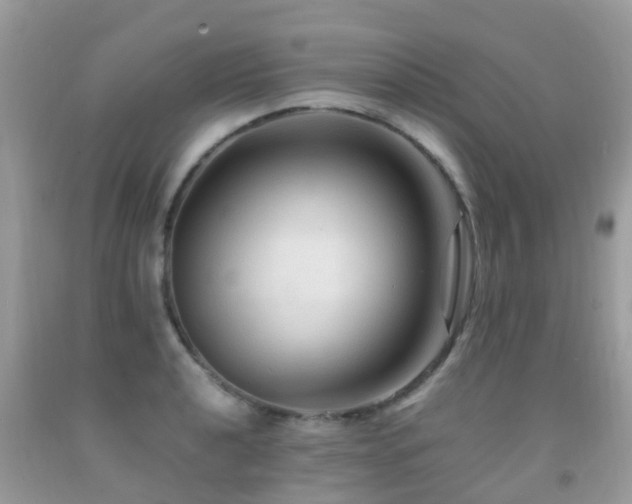 X0000091941040200709051518