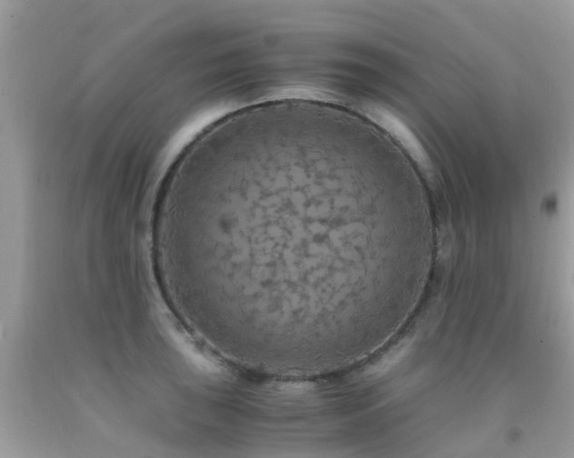 X0000091941043200709051518