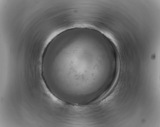 X0000091941046200709051518