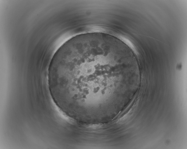 X0000091941047200709051518