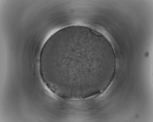 X0000091941048200709051518