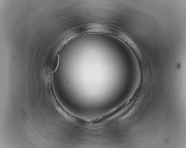 X0000091941049200709051518