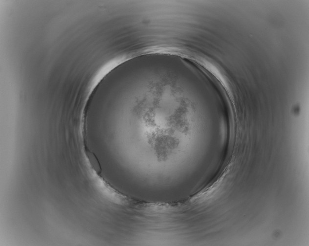 X0000091941050200709051518