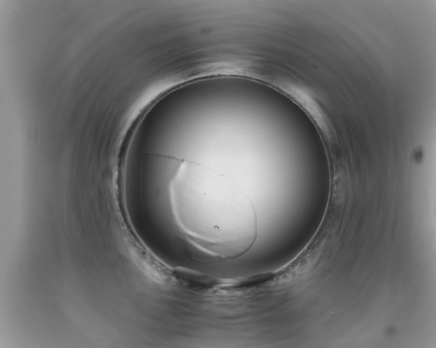 X0000091941051200709051518