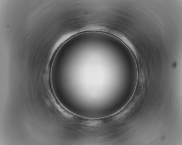 X0000091941053200709051518