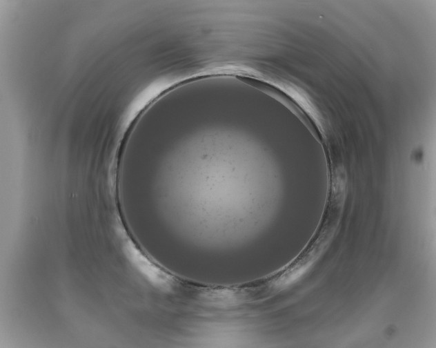 X0000091941054200709051518