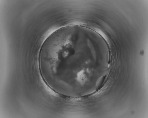 X0000091941055200709051518