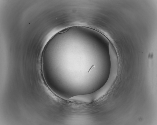 X0000091941056200709051519