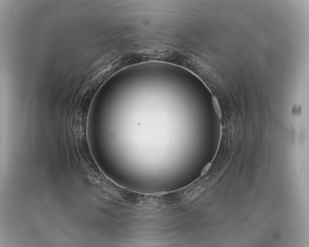 X0000091941058200709051518