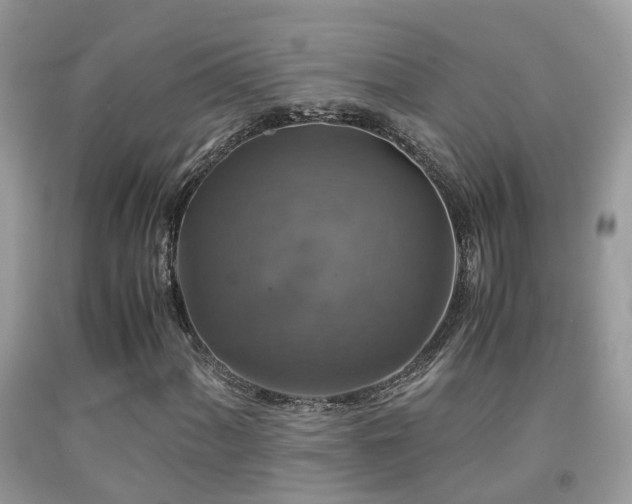 X0000091941060200709051518