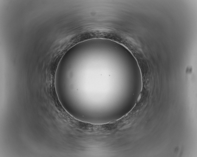 X0000091941061200709051518