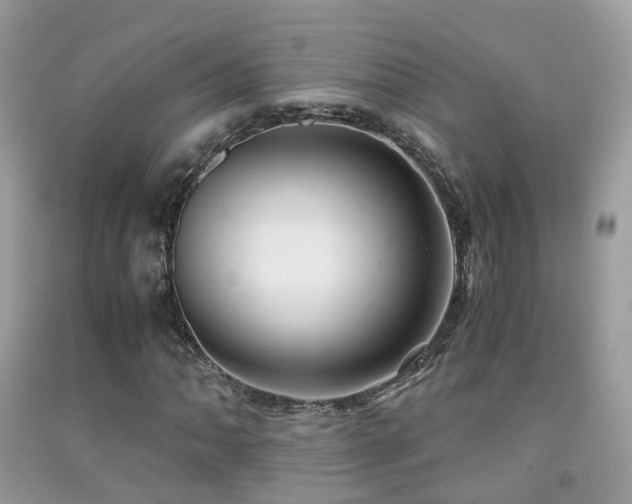 X0000091941062200709051518