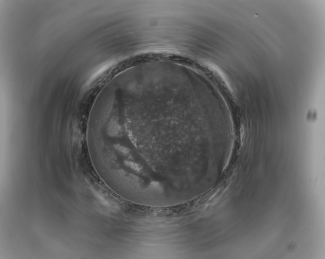 X0000091941064200709051518