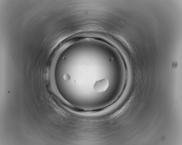 X0000091941065200709051518