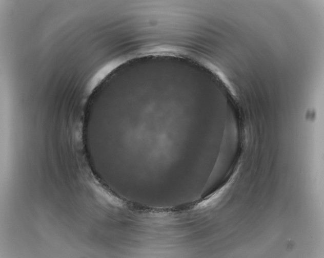 X0000091941066200709051518