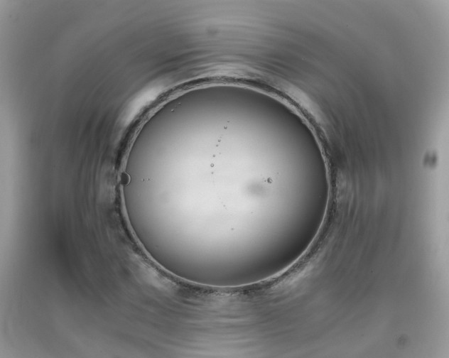 X0000091941067200709051518