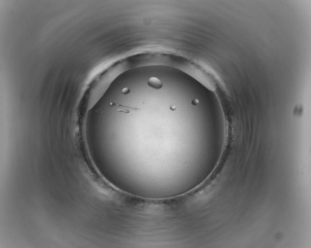 X0000091941070200709051518