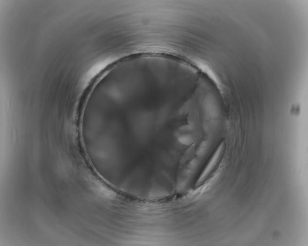 X0000091941071200709051518