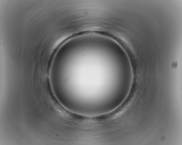 X0000091941073200709051518