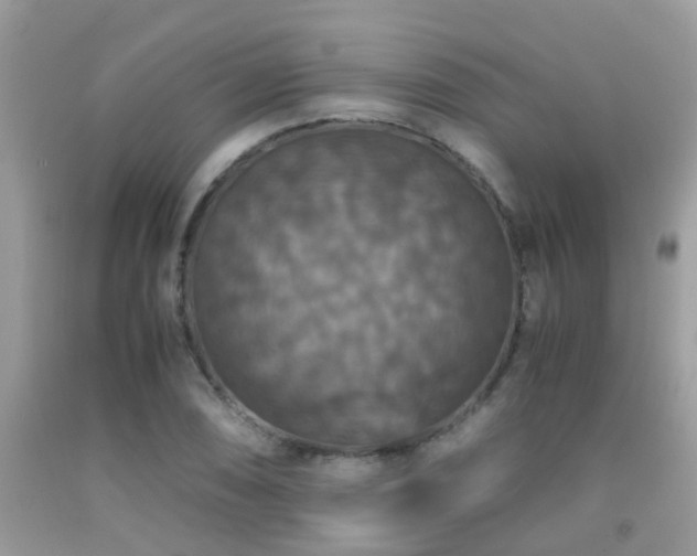 X0000091941074200709051517