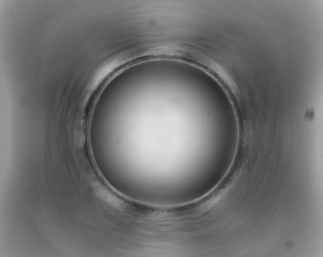 X0000091941075200709051517