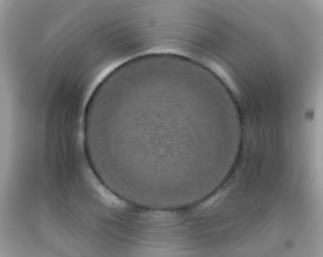 X0000091941076200709051517