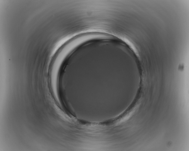 X0000091941077200709051517