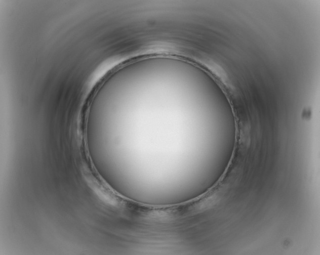 X0000091941078200709051517