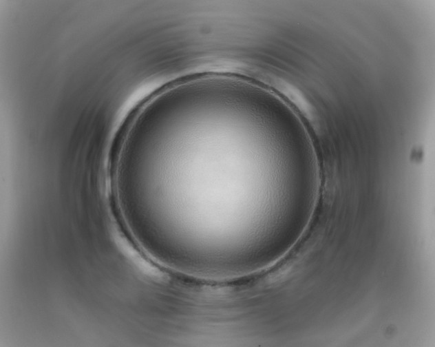 X0000091941080200709051517