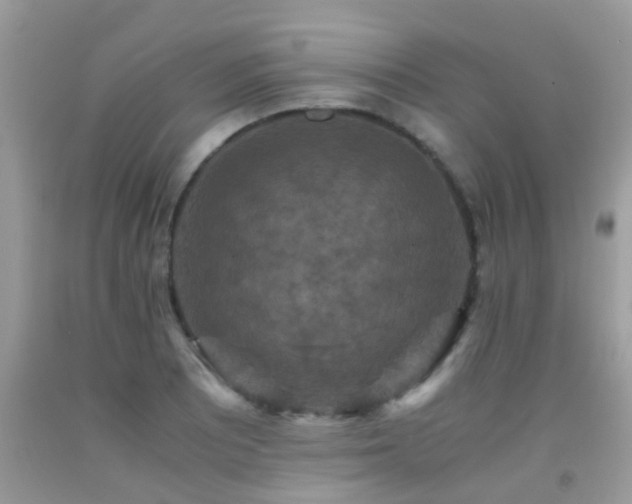 X0000091941081200709051517