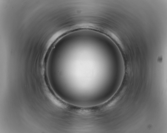 X0000091941082200709051517