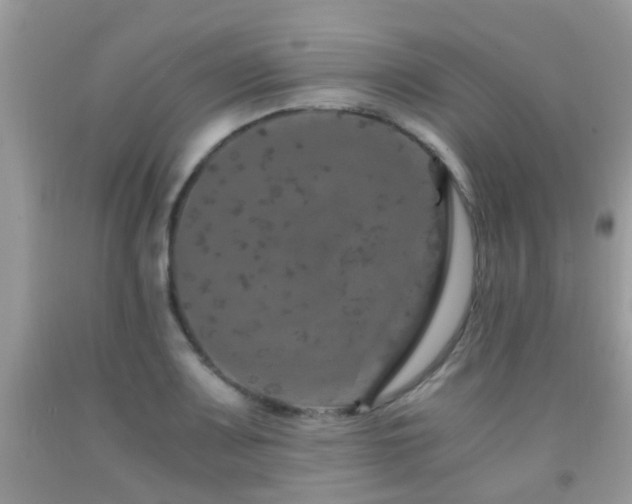 X0000091941083200709051517